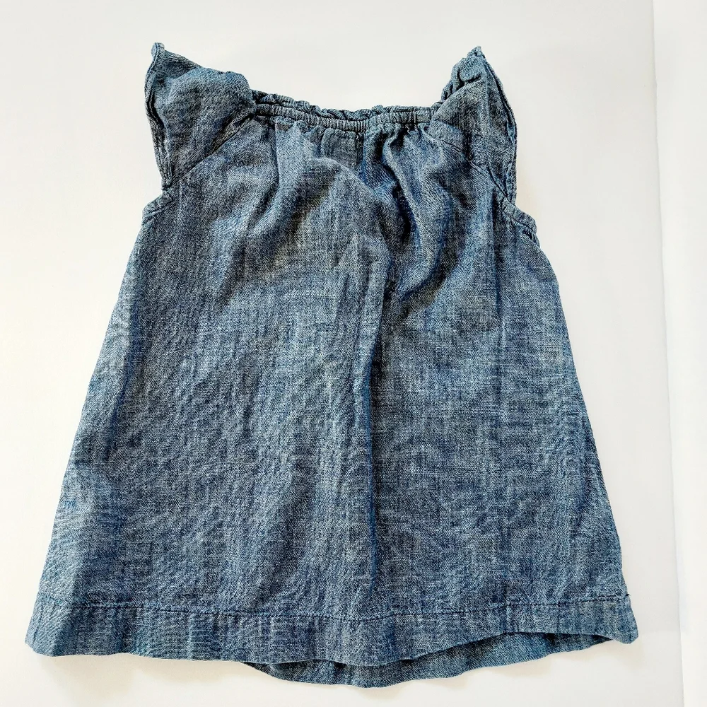 Denim/Chambray A-line Dress Ruched Bodice‎ 4T Baby Gap Family Photos